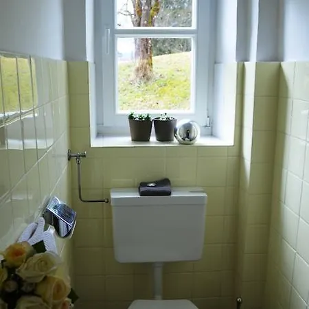 Ferienwohnung Strubbauer Urlaub Am Bauernhof Abtenau Extérieur photo