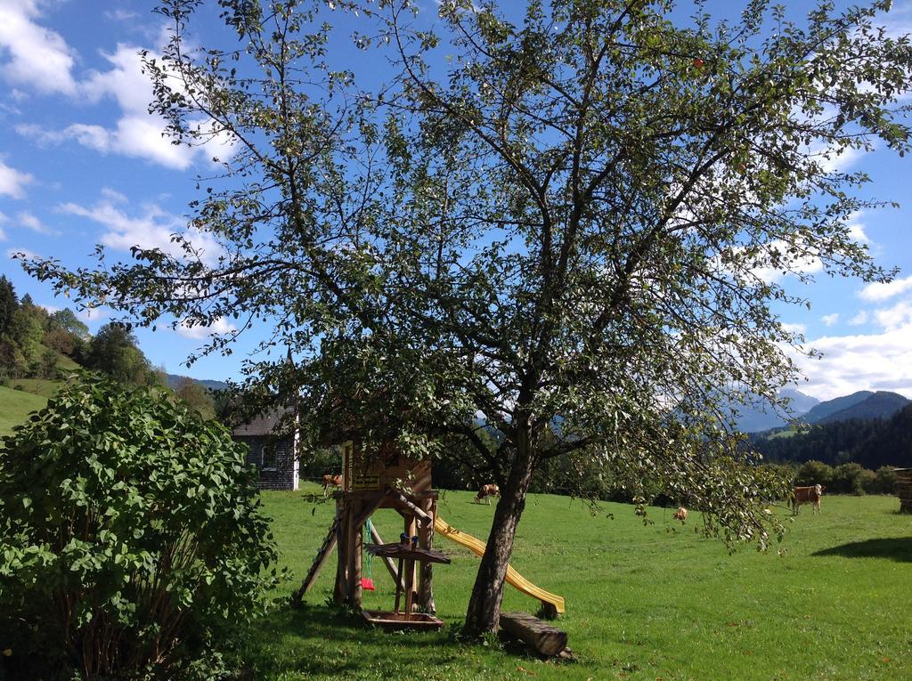 Strubbauer Urlaub Am Bauernhof Appartement Abtenau